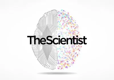 Translational Research for Neural Implants Translational Research for Neural Implants